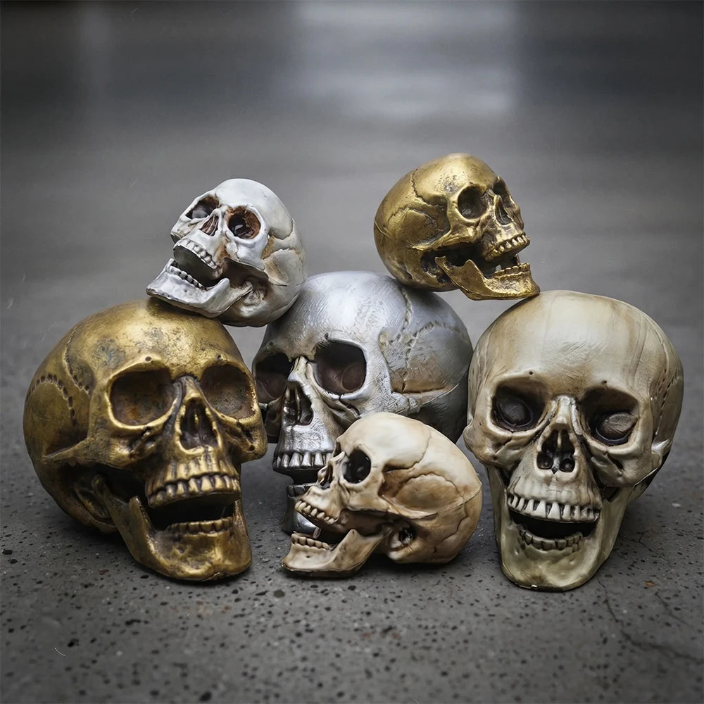 Realistic Skull Decoration – Halloween Skeleton Prop