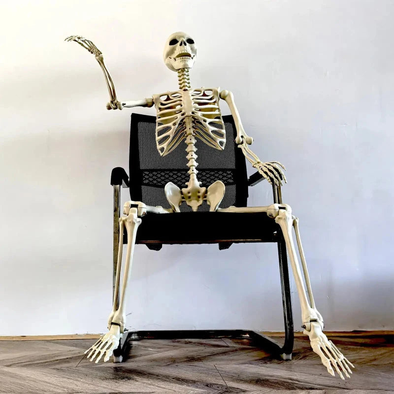 Life-Size Human Skeleton – Realistic Halloween Decoration