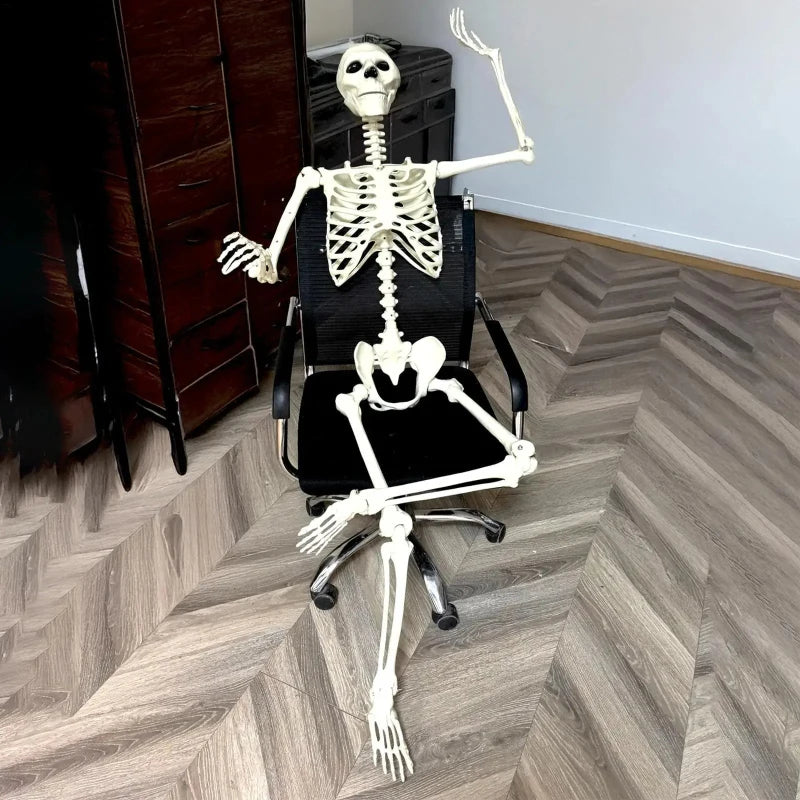 Life-Size Human Skeleton – Realistic Halloween Decoration