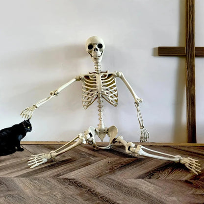 Life-Size Human Skeleton – Realistic Halloween Decoration