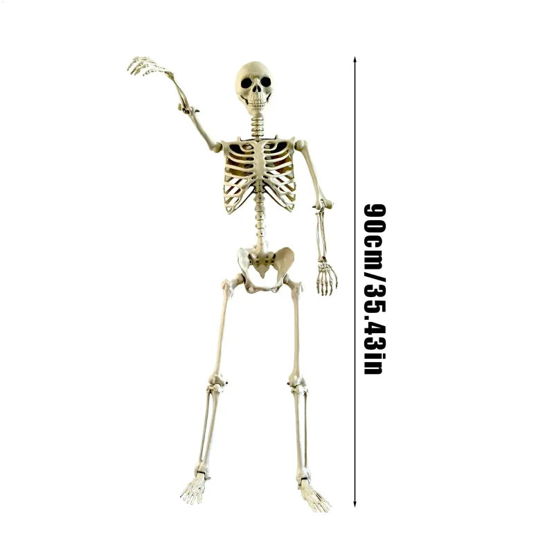 Life-Size Human Skeleton – Realistic Halloween Decoration